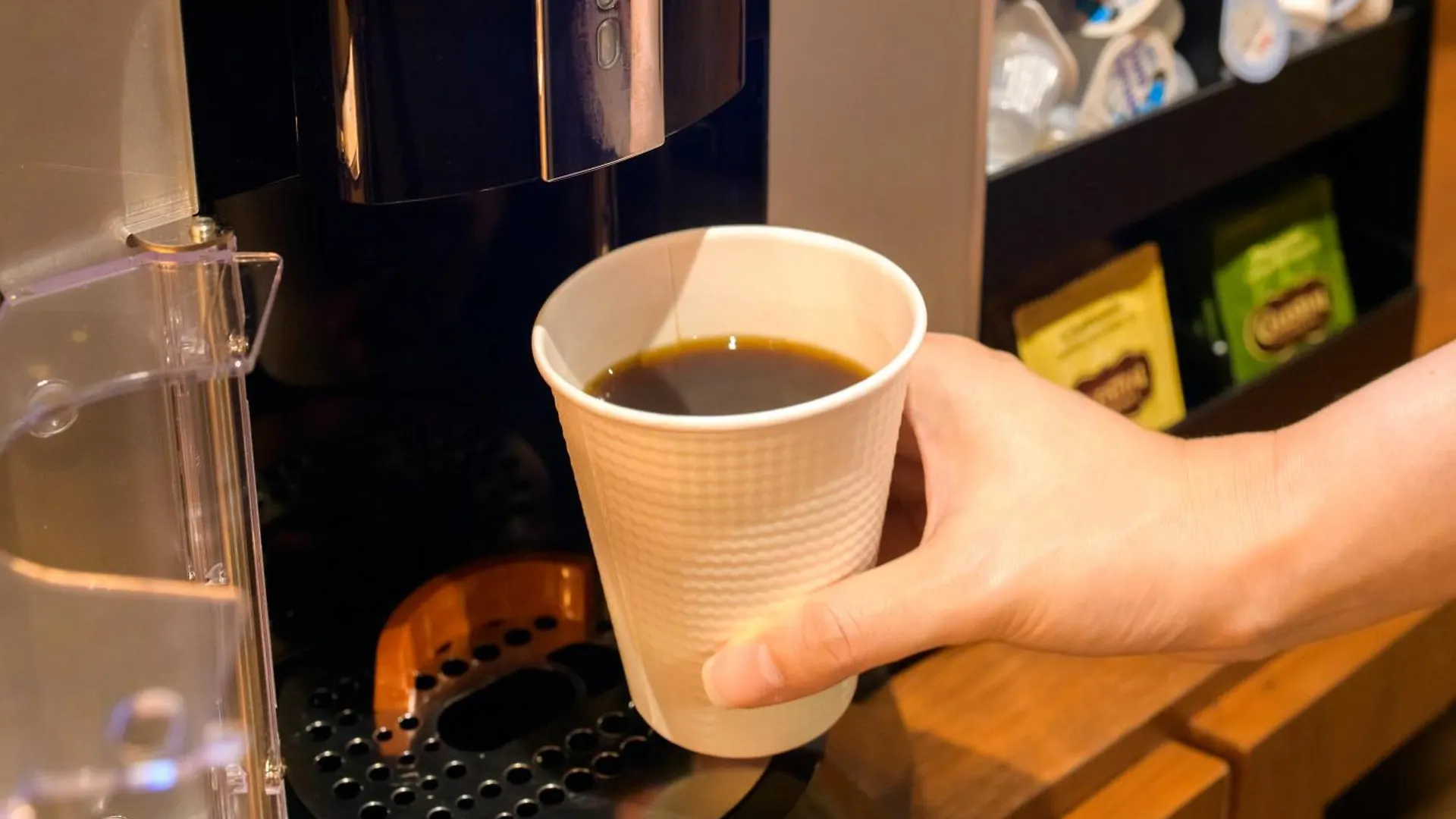 Tosei Hotel Cocone Kamata Tokyo